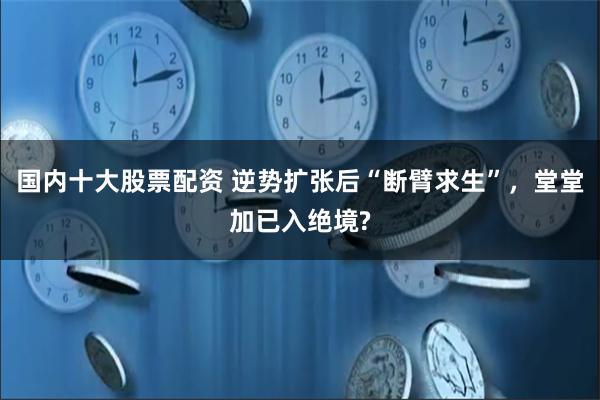 国内十大股票配资 逆势扩张后“断臂求生”，堂堂加已入绝境?