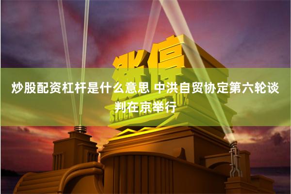 炒股配资杠杆是什么意思 中洪自贸协定第六轮谈判在京举行