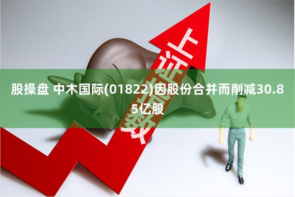 股操盘 中木国际(01822)因股份合并而削减30.85亿股