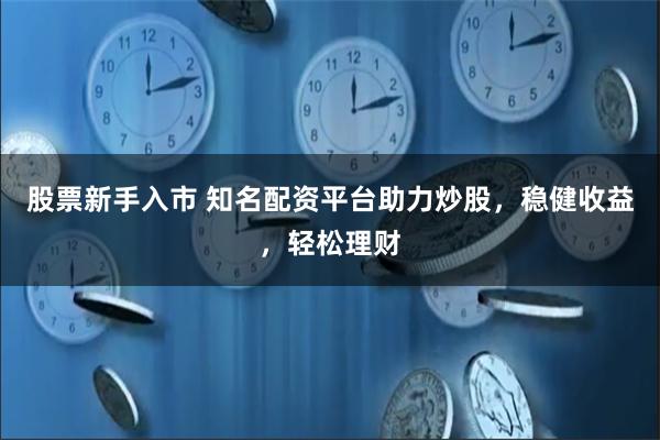 股票新手入市 知名配资平台助力炒股，稳健收益，轻松理财