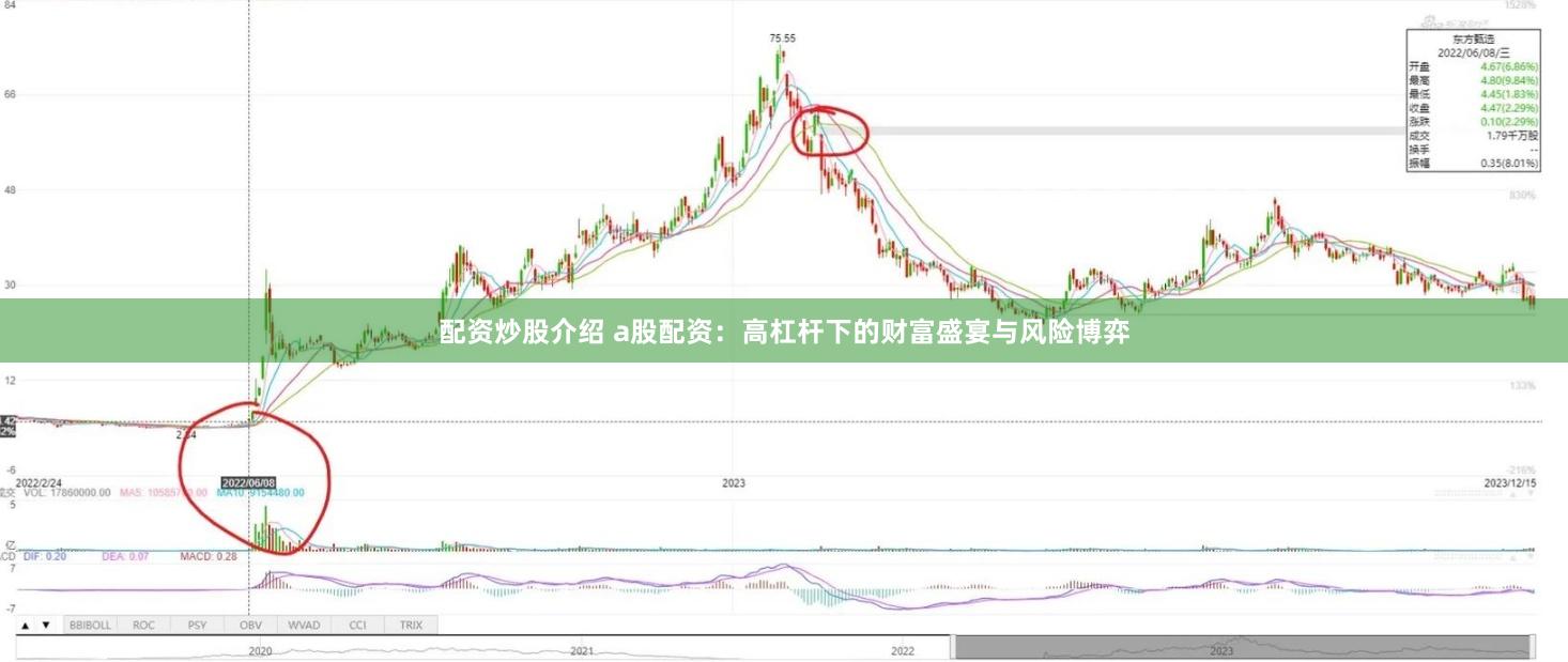 配资炒股介绍 a股配资：高杠杆下的财富盛宴与风险博弈